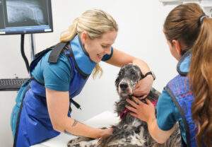 diagnostics and laboratory