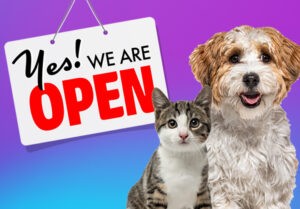 yes we are open mobile banner