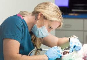 dentalmobile