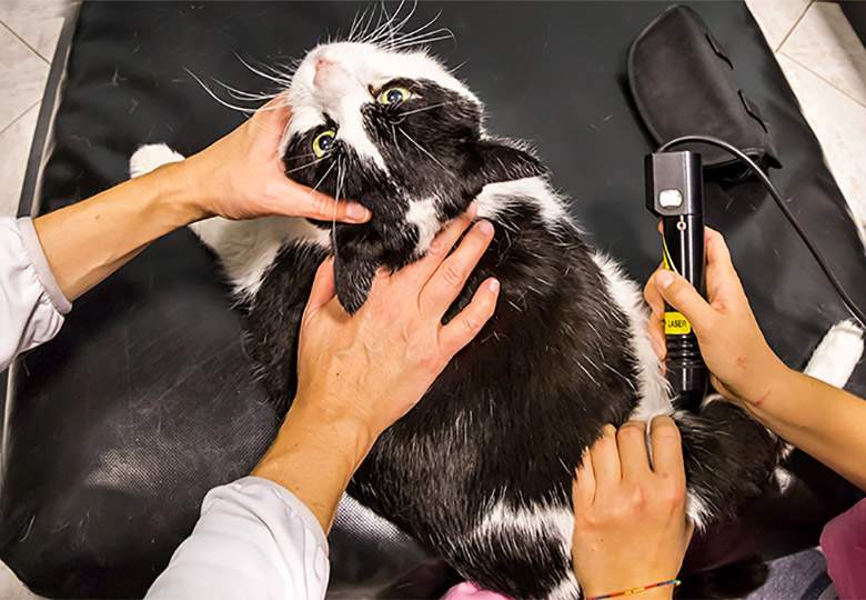 Laser Therapy